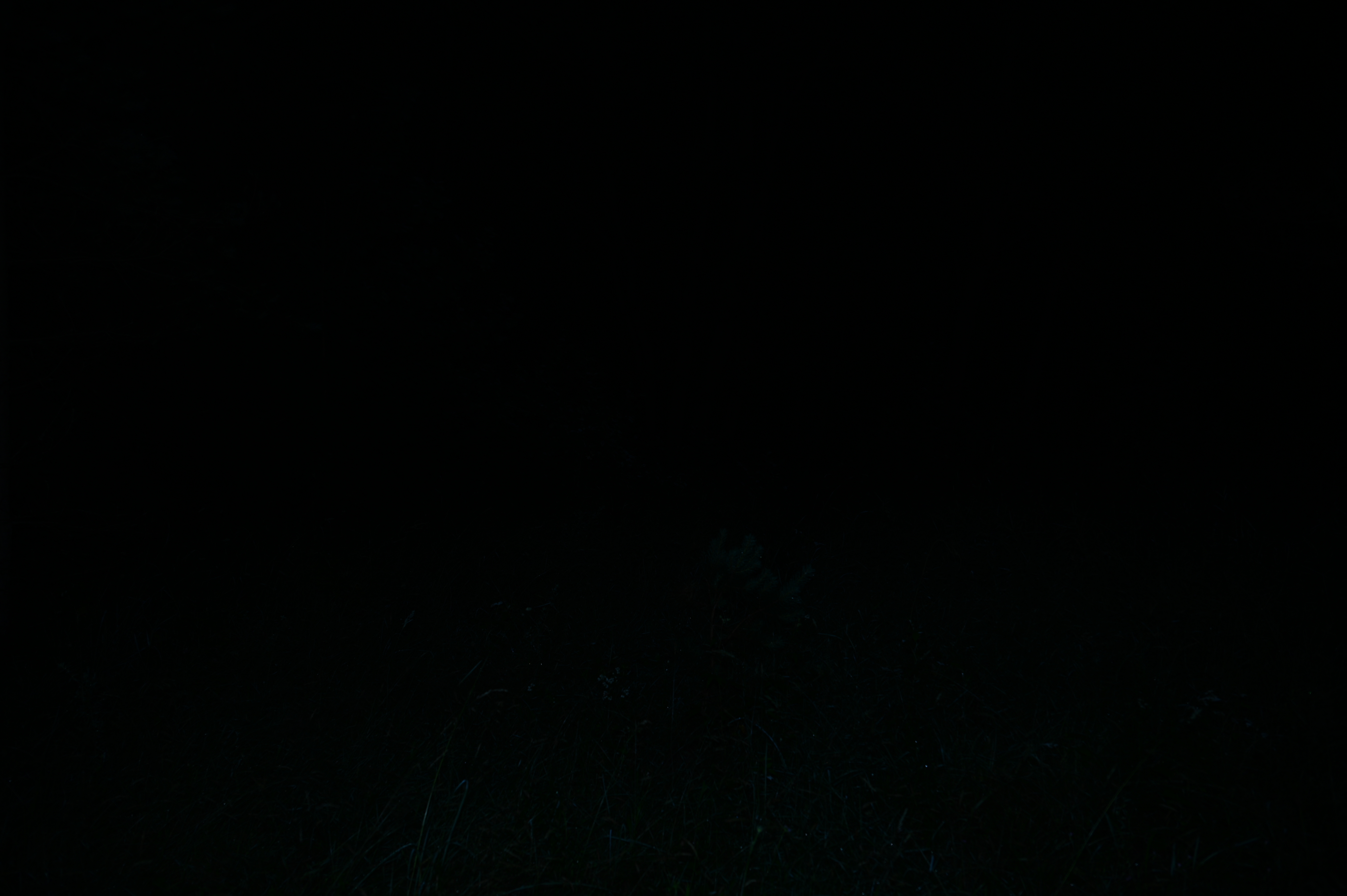 2025/07/09-14 - trip/DSC_0296.JPG